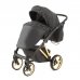 Детская коляска RAY Agix 3 в 1 Детская коляска RAY Agix 3 в 1